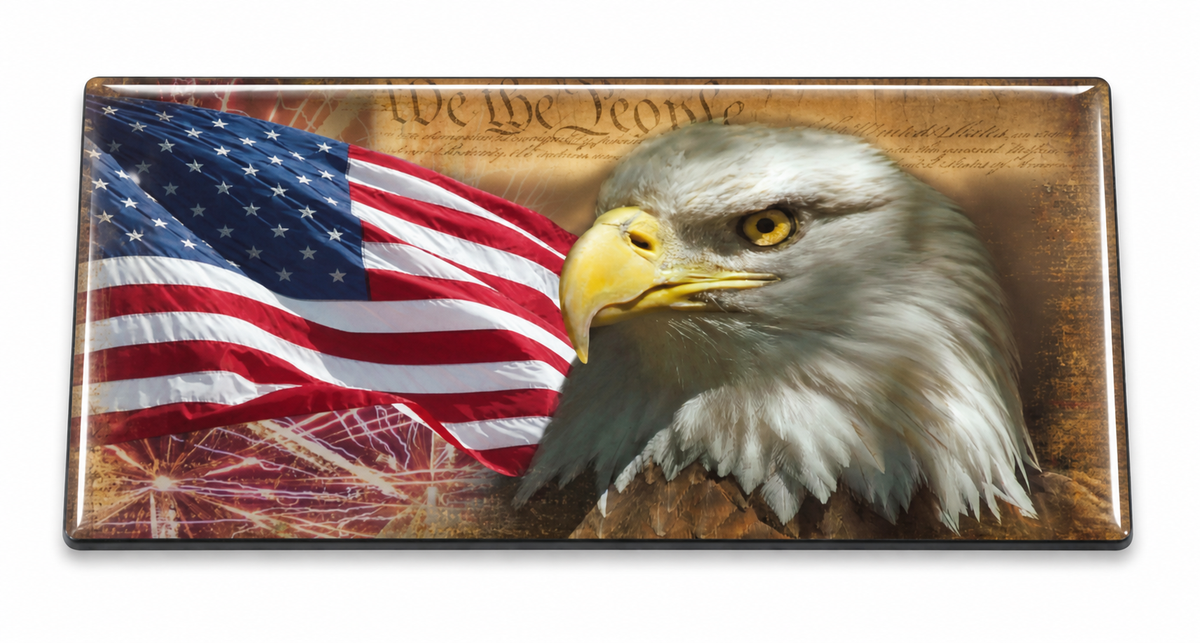 Eagle Constitution Flag domed insert for the 1Buckle system