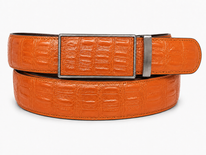 1Buckle Premium